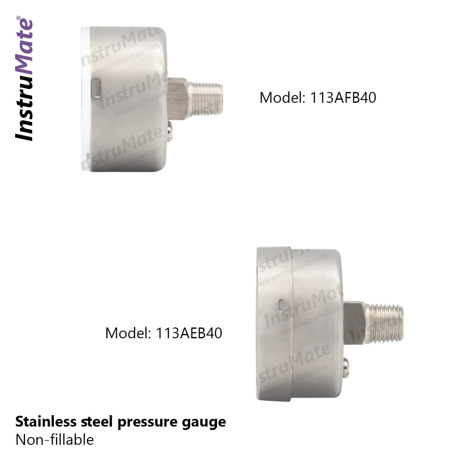 Pressure gauge full stainless steel - 113AF - Instrumate