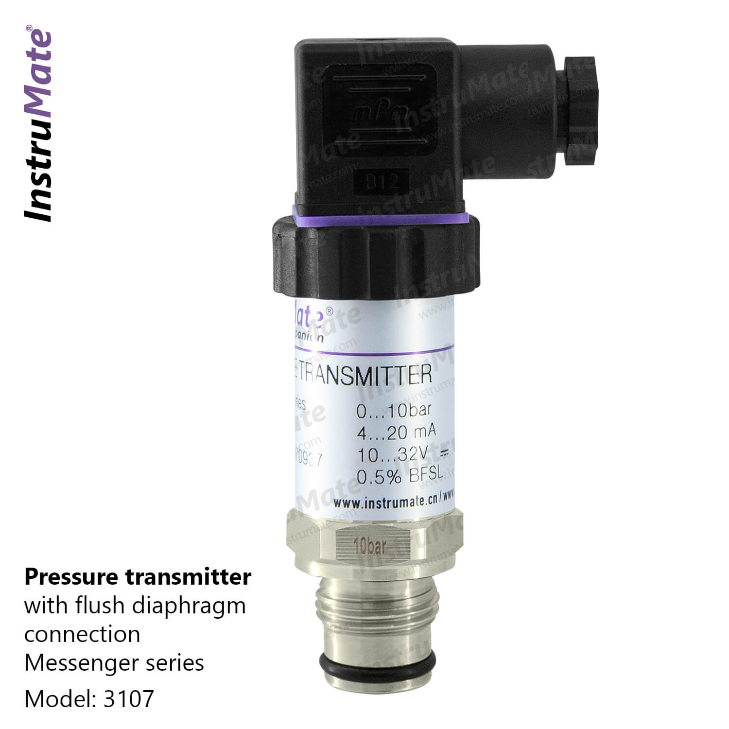 Pressure Transmitter with Flush Connection - 3107 - InstruMate