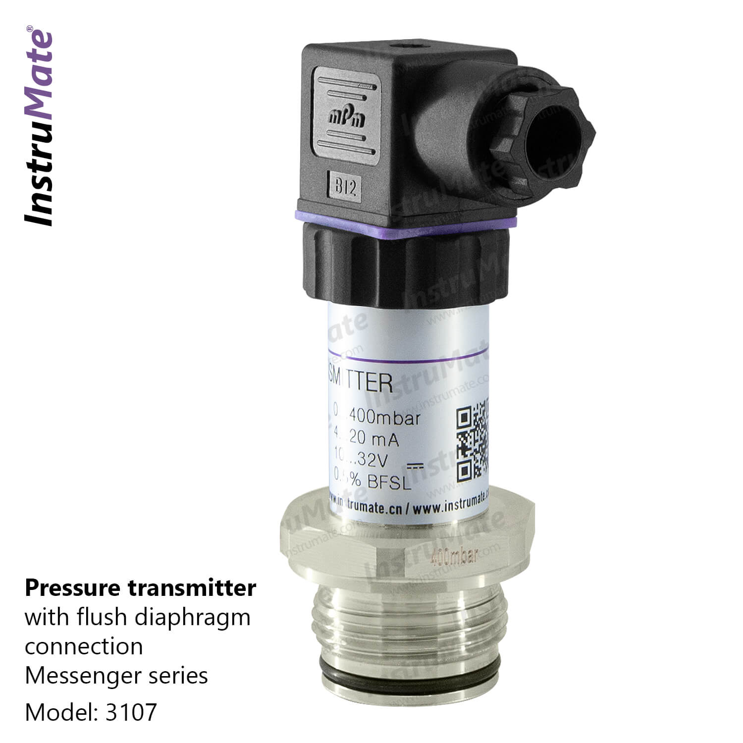 Pressure Transmitter with Flush Connection - 3107 - InstruMate